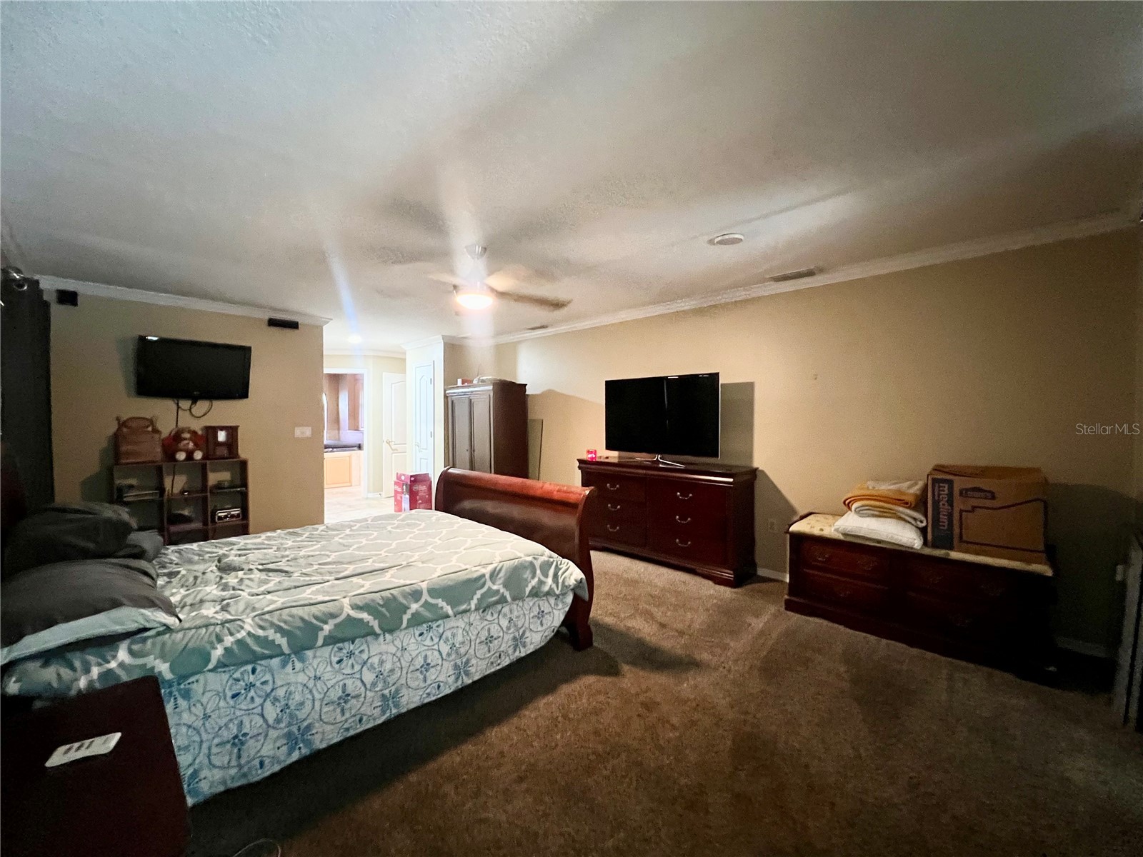 5810 Redhawk Drive New Port Richey FL 34655 TB8493879 image22