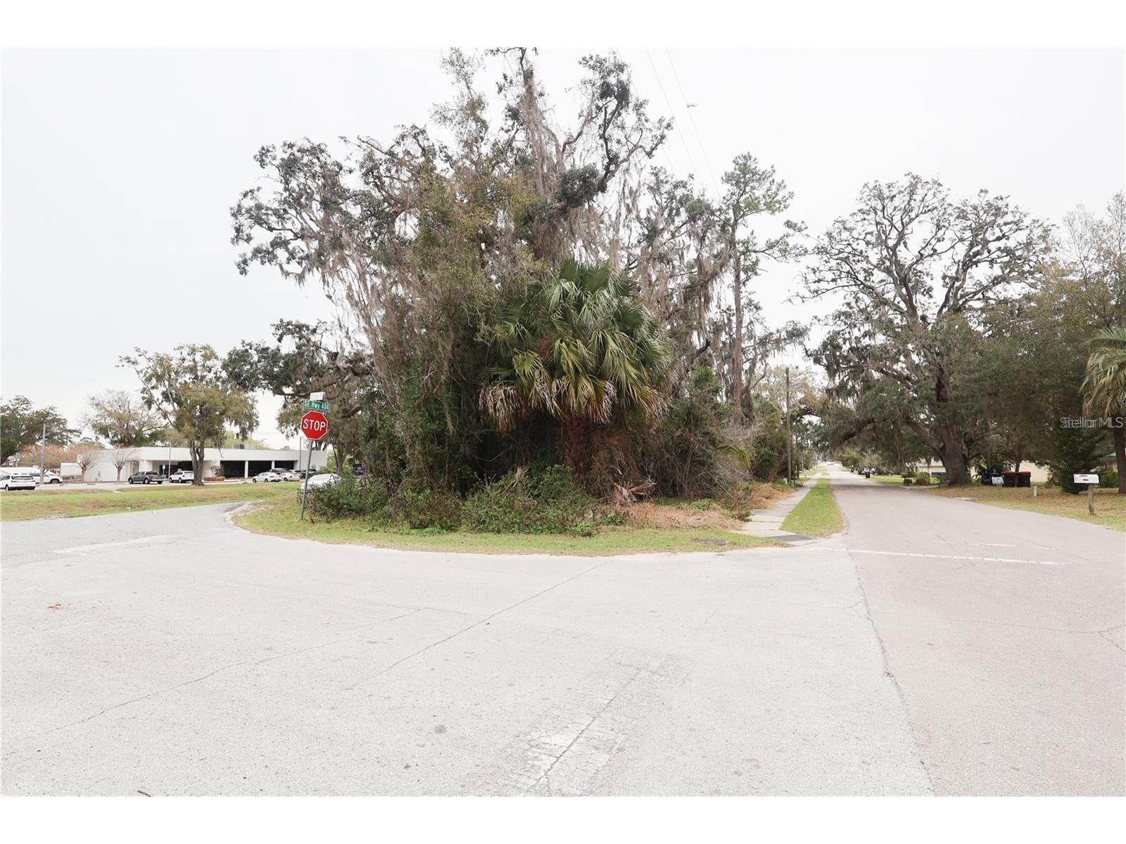 5810 SE Abshier Boulevard Belleview FL 34420 OM725317 image31