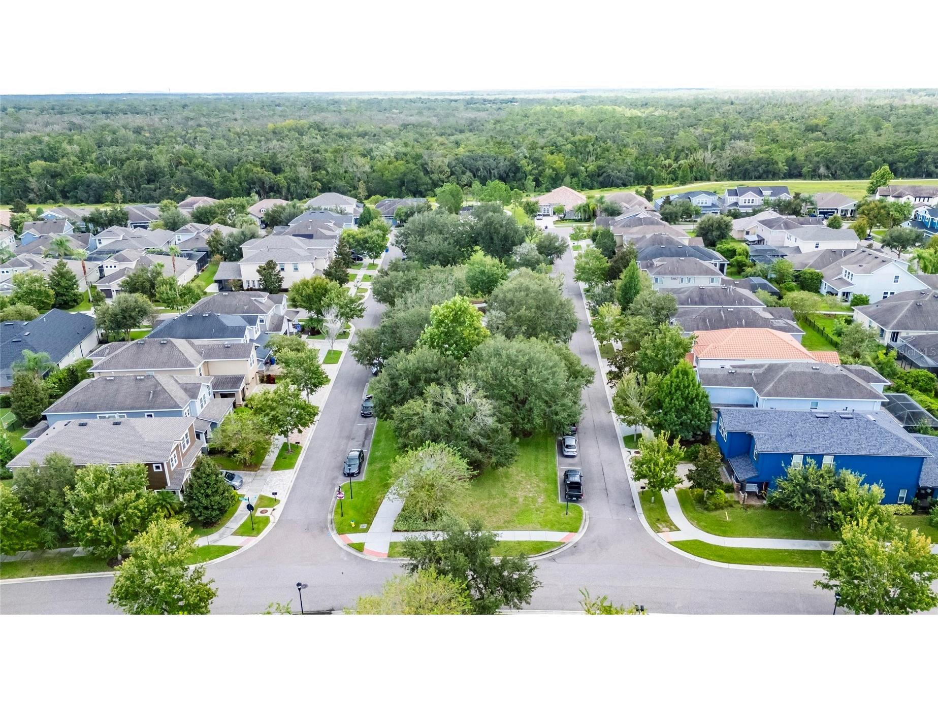 5811 Caldera Ridge Drive Lithia FL 33547 TB8423617 image37