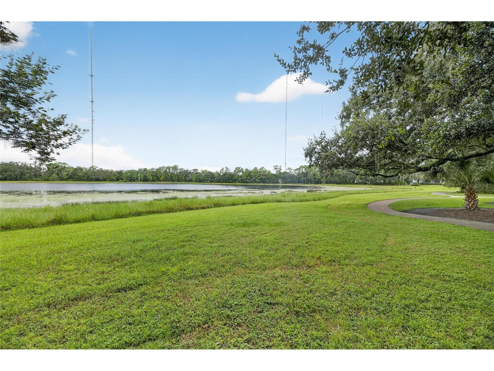 5811 Caldera Ridge Drive Lithia FL 33547 TB8423617 image42