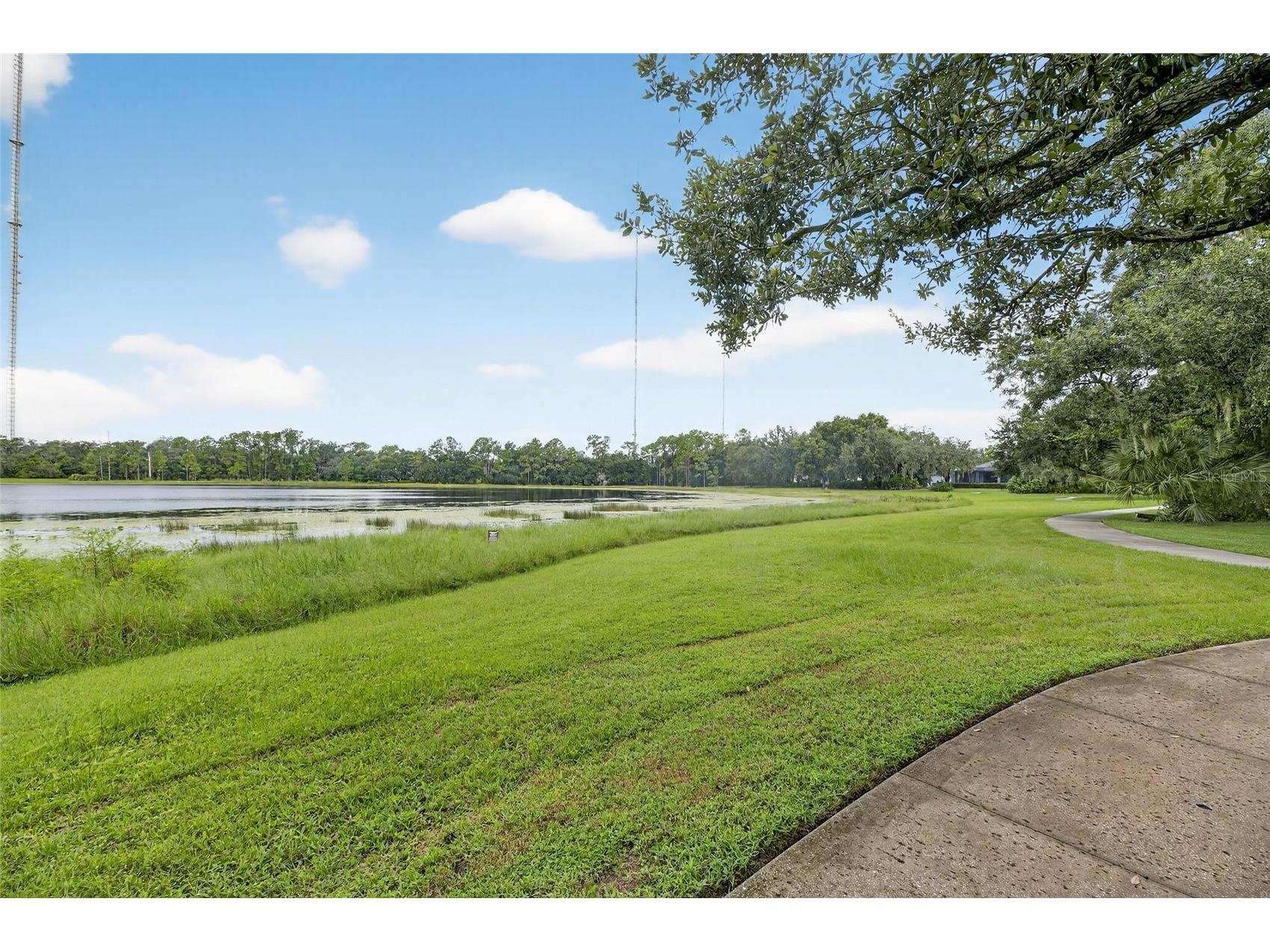 5811 Caldera Ridge Drive Lithia FL 33547 TB8423617 image43