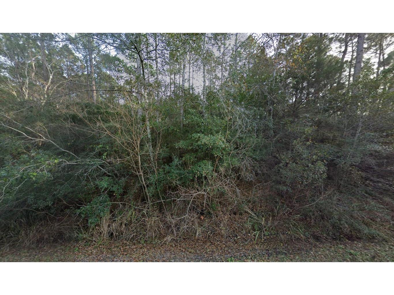 5811 Shady Bayou Lane Milton FL 32583 A4692720 image2