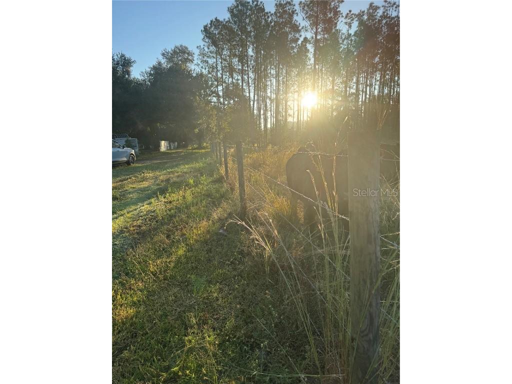 5812 N Dormany Road Plant City FL 33565 TB8417634 image26