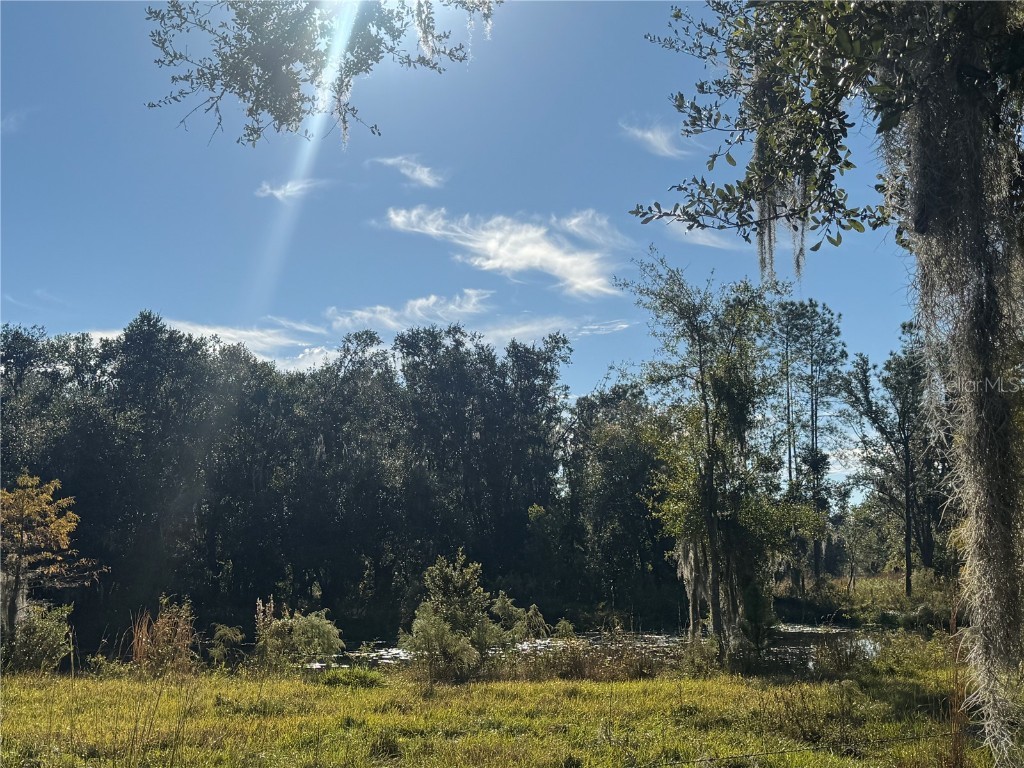 5812 N Dormany Road Plant City FL 33565 TB8417634 image30