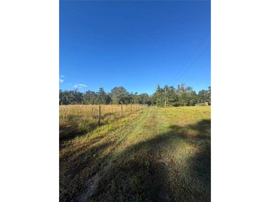 5812 N Dormany Road Plant City FL 33565 TB8417634 image31