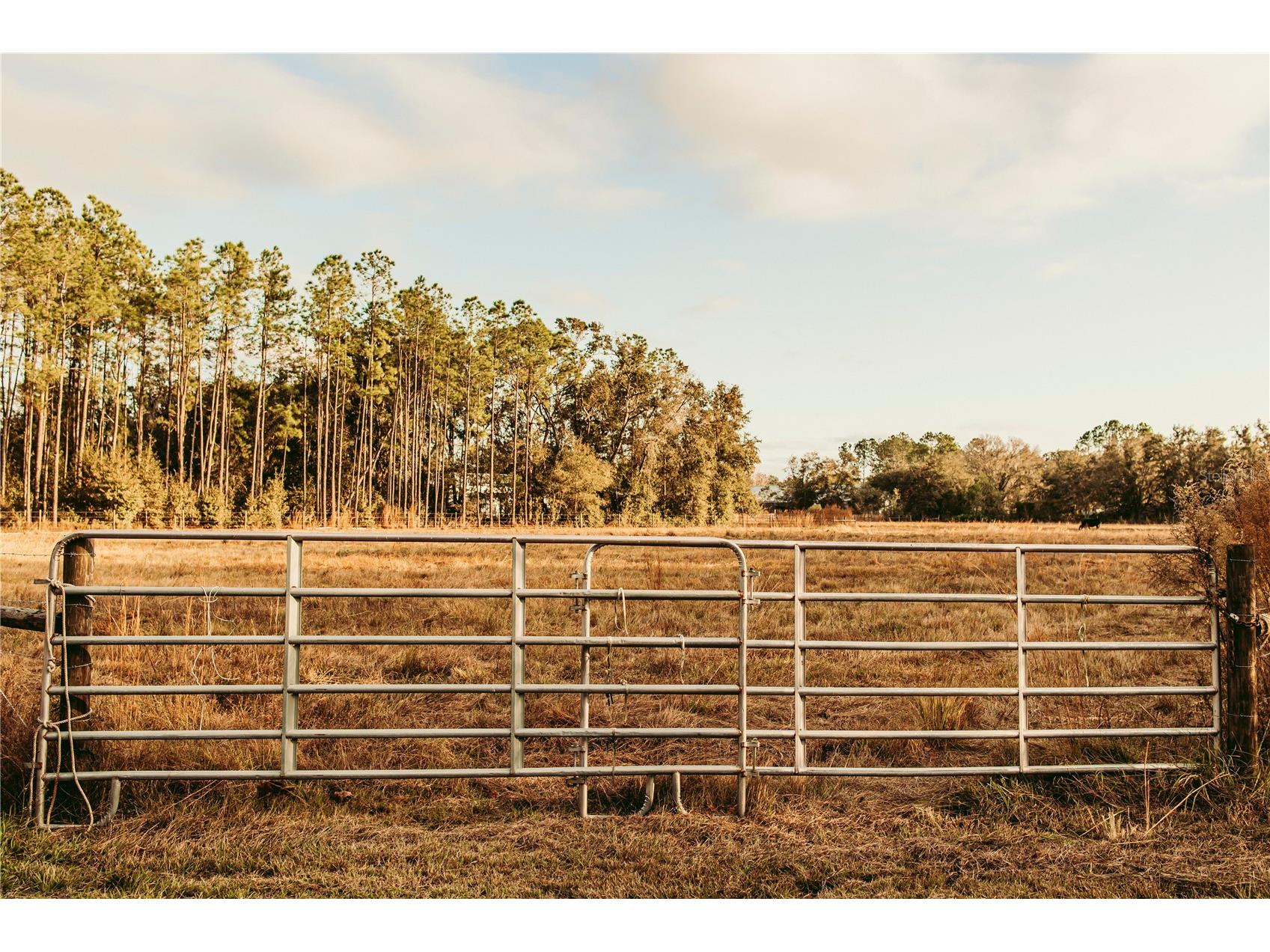 5812 N Dormany Road Plant City FL 33565 TB8462727 image1