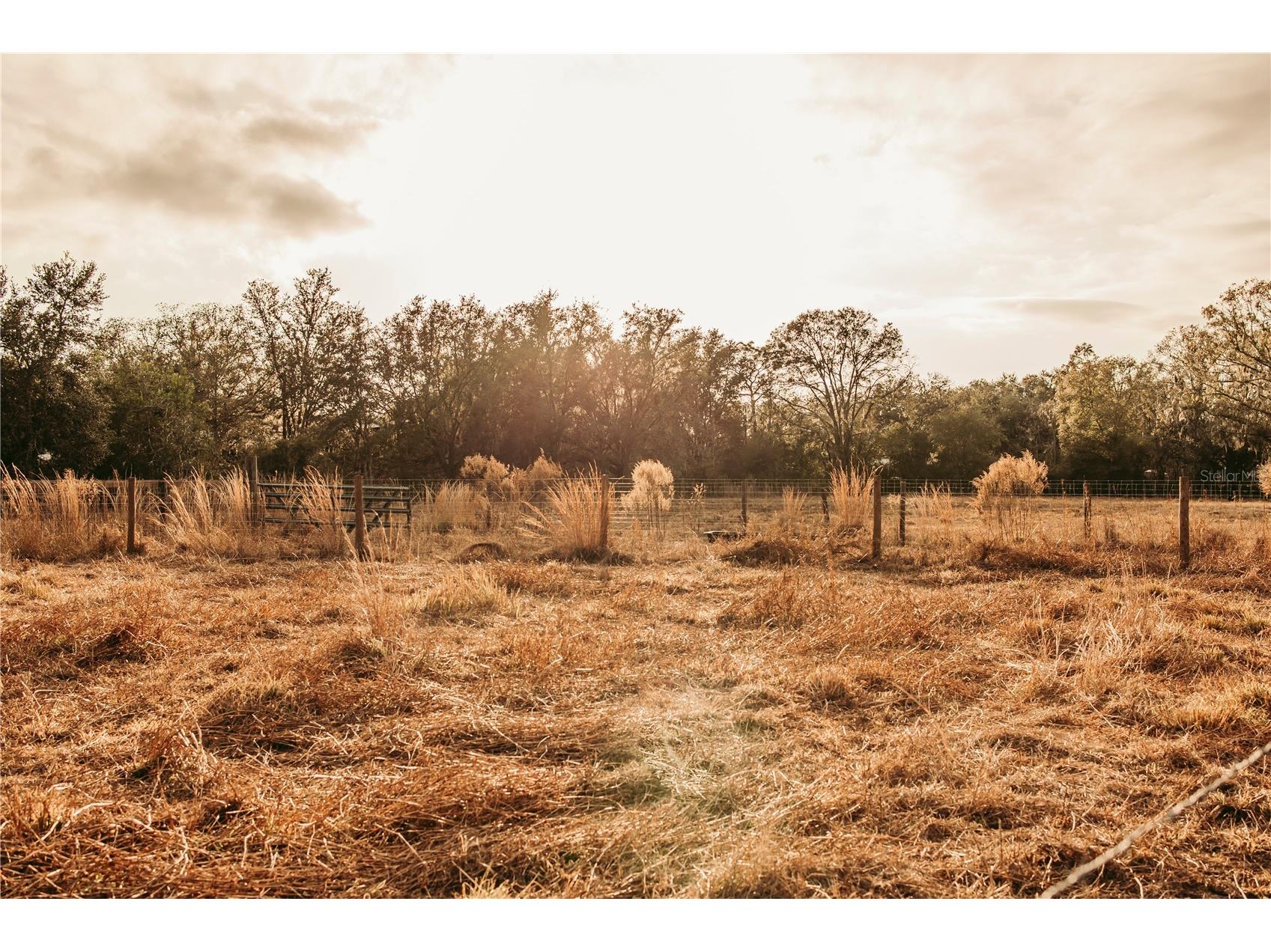 5812 N Dormany Road Plant City FL 33565 TB8462727 image4