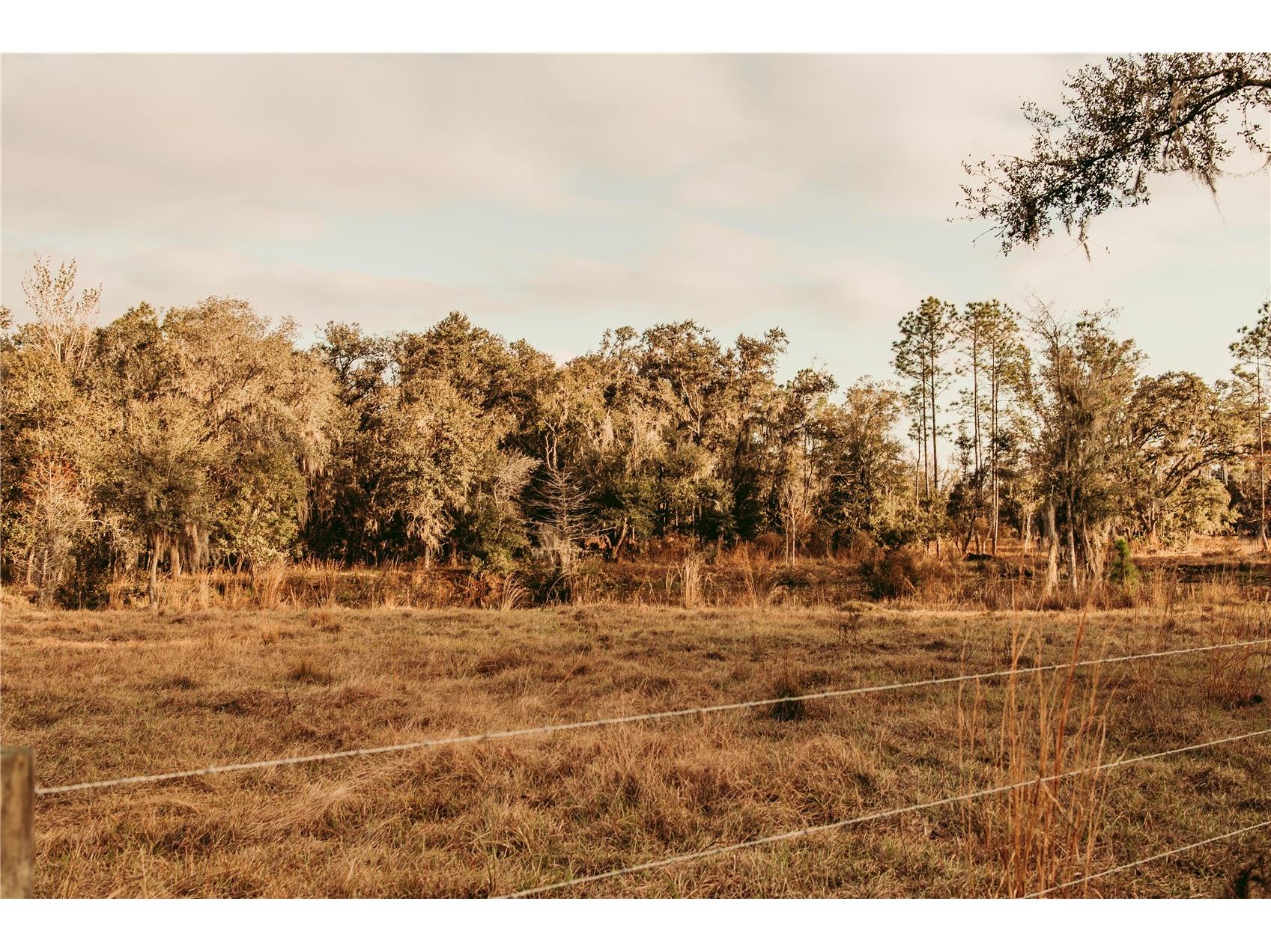 5812 N Dormany Road Plant City FL 33565 TB8462727 image5