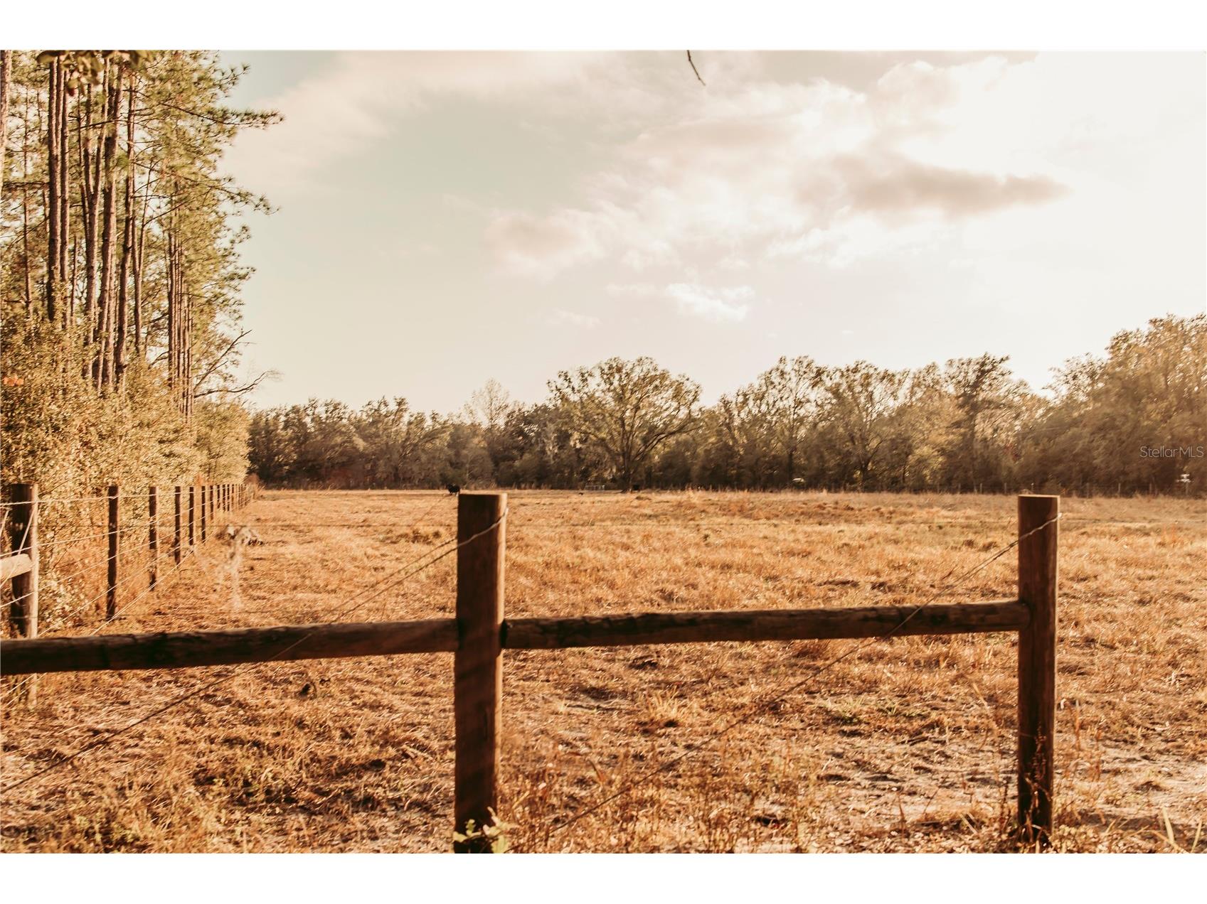 5812 N Dormany Road Plant City FL 33565 TB8462727 image6