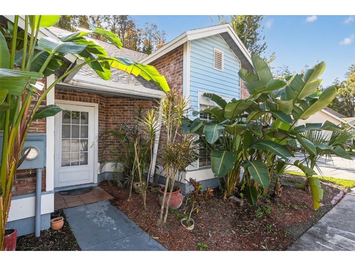 5812 Red Cedar Lane Tampa FL 33625 O6363749 image1