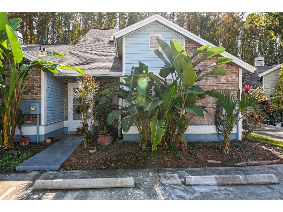 5812 Red Cedar Lane Tampa FL 33625 O6363749 image3