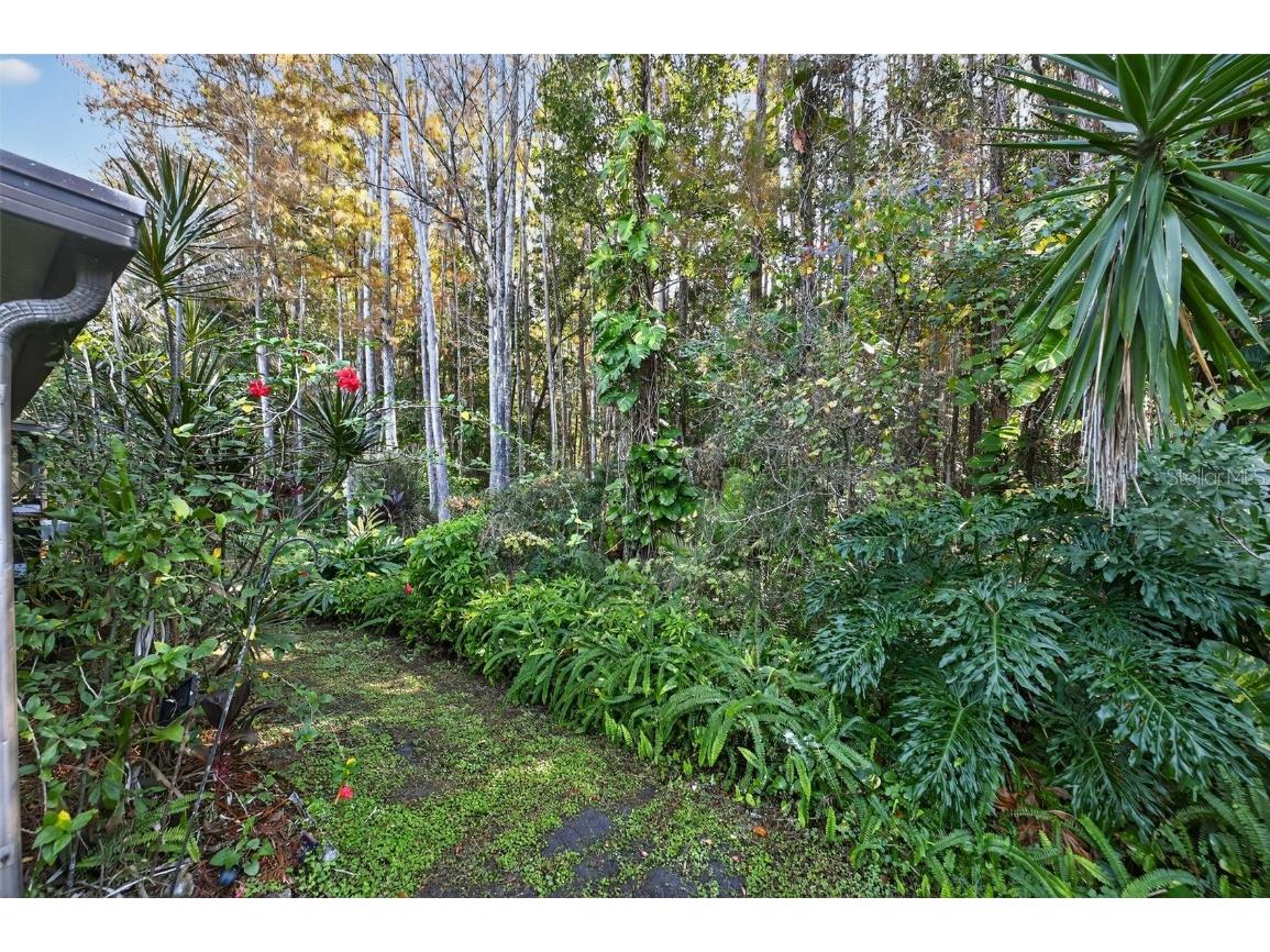 5812 Red Cedar Lane Tampa FL 33625 O6363749 image5