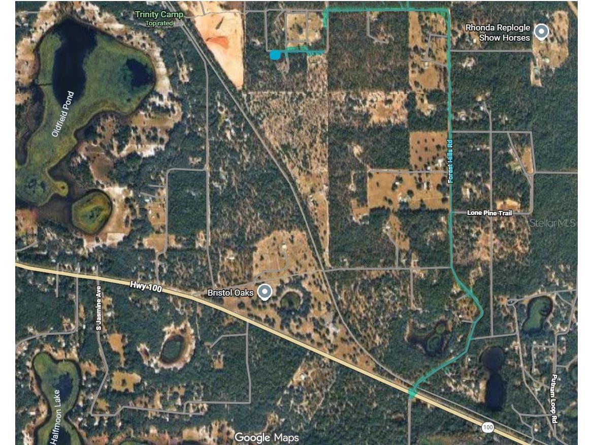 0000 Lady Bug Lane Melrose FL 32666 A4698672 image15