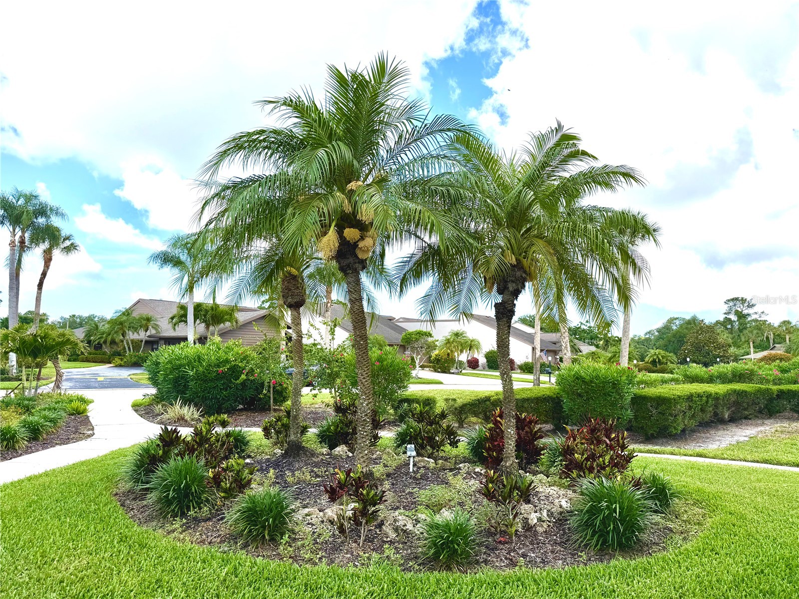 5813 Merion Way #5813 Sarasota FL 34243 S5151519 image35