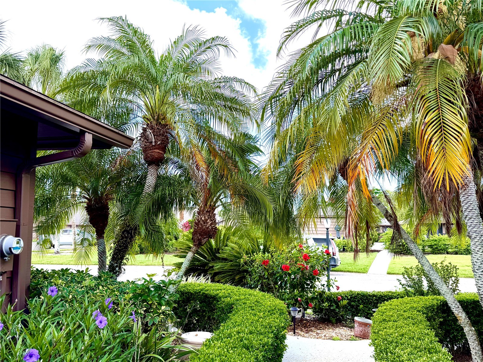 5813 Merion Way #5813 Sarasota FL 34243 S5151519 image4