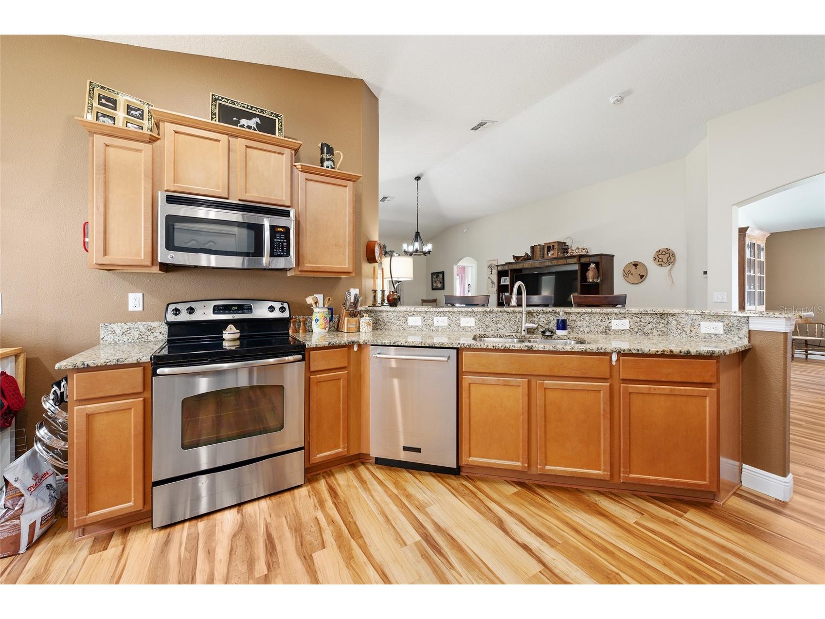 5814 Coquyt Drive Mount Dora FL 32757 G5110800 image14