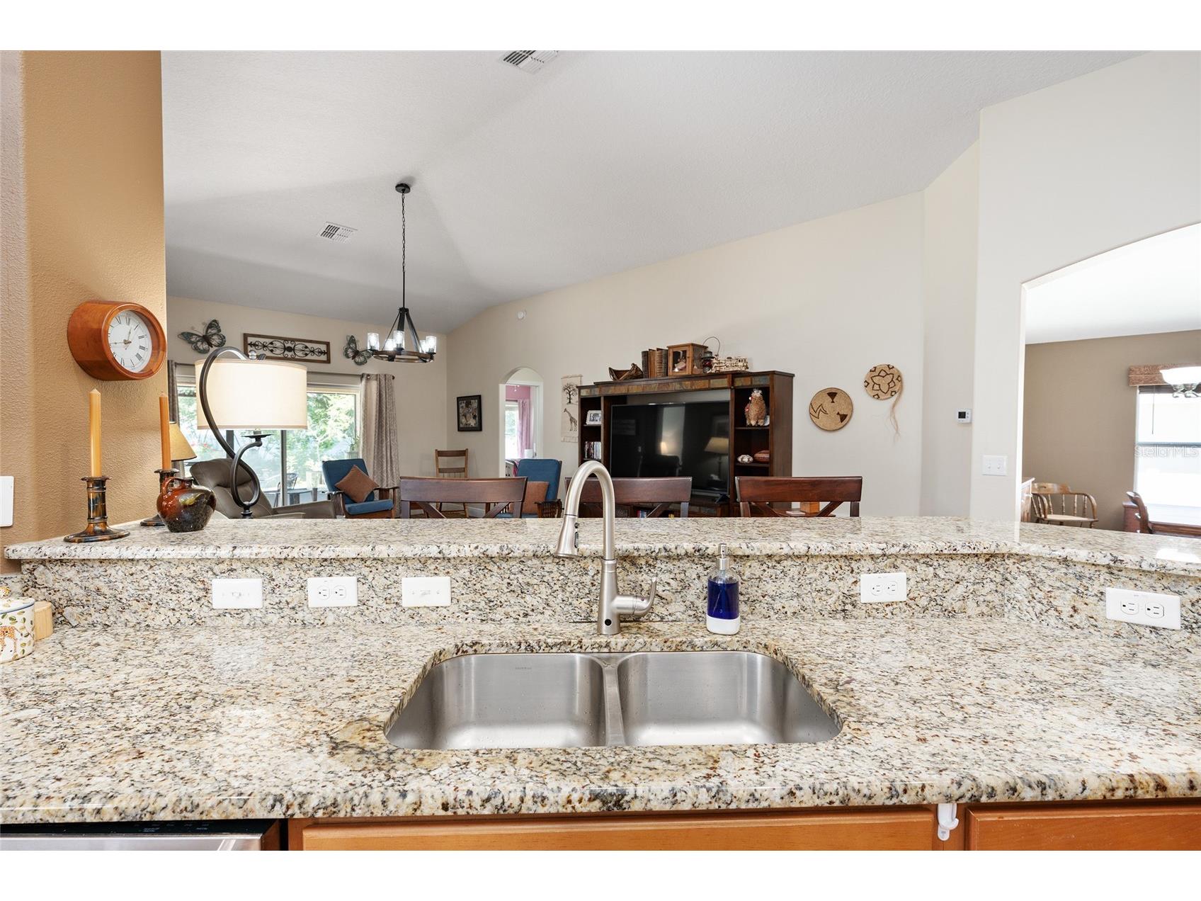 5814 Coquyt Drive Mount Dora FL 32757 G5110800 image15