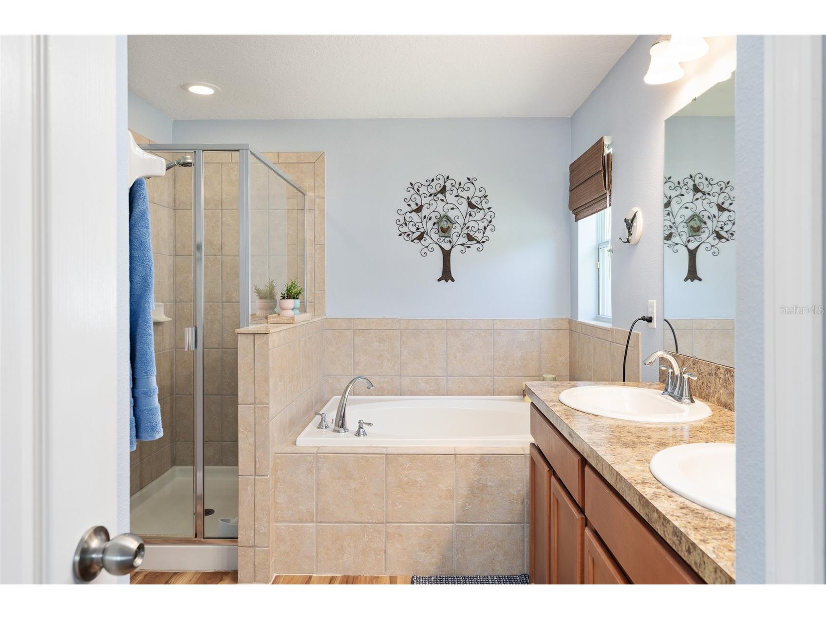 5814 Coquyt Drive Mount Dora FL 32757 G5110800 image39