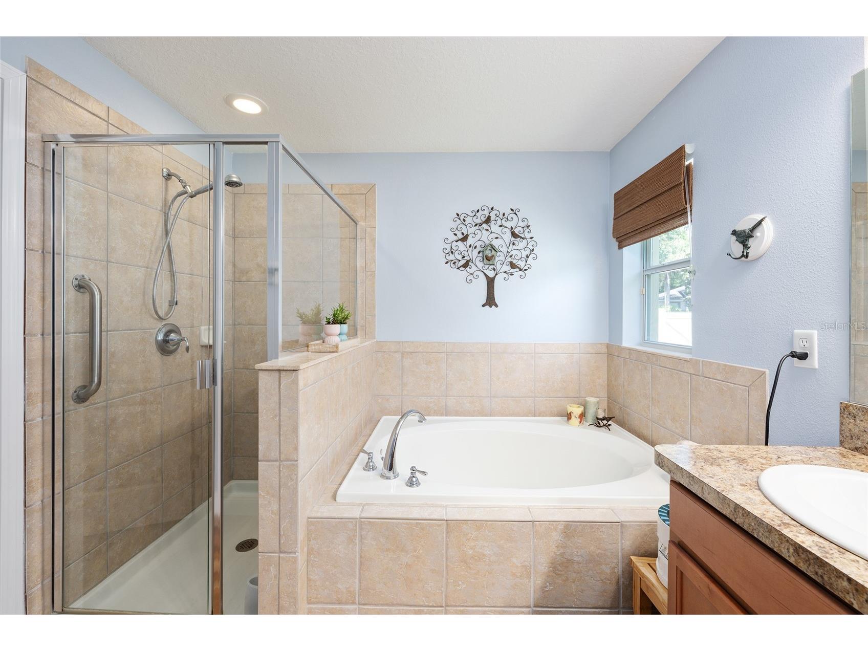5814 Coquyt Drive Mount Dora FL 32757 G5110800 image41