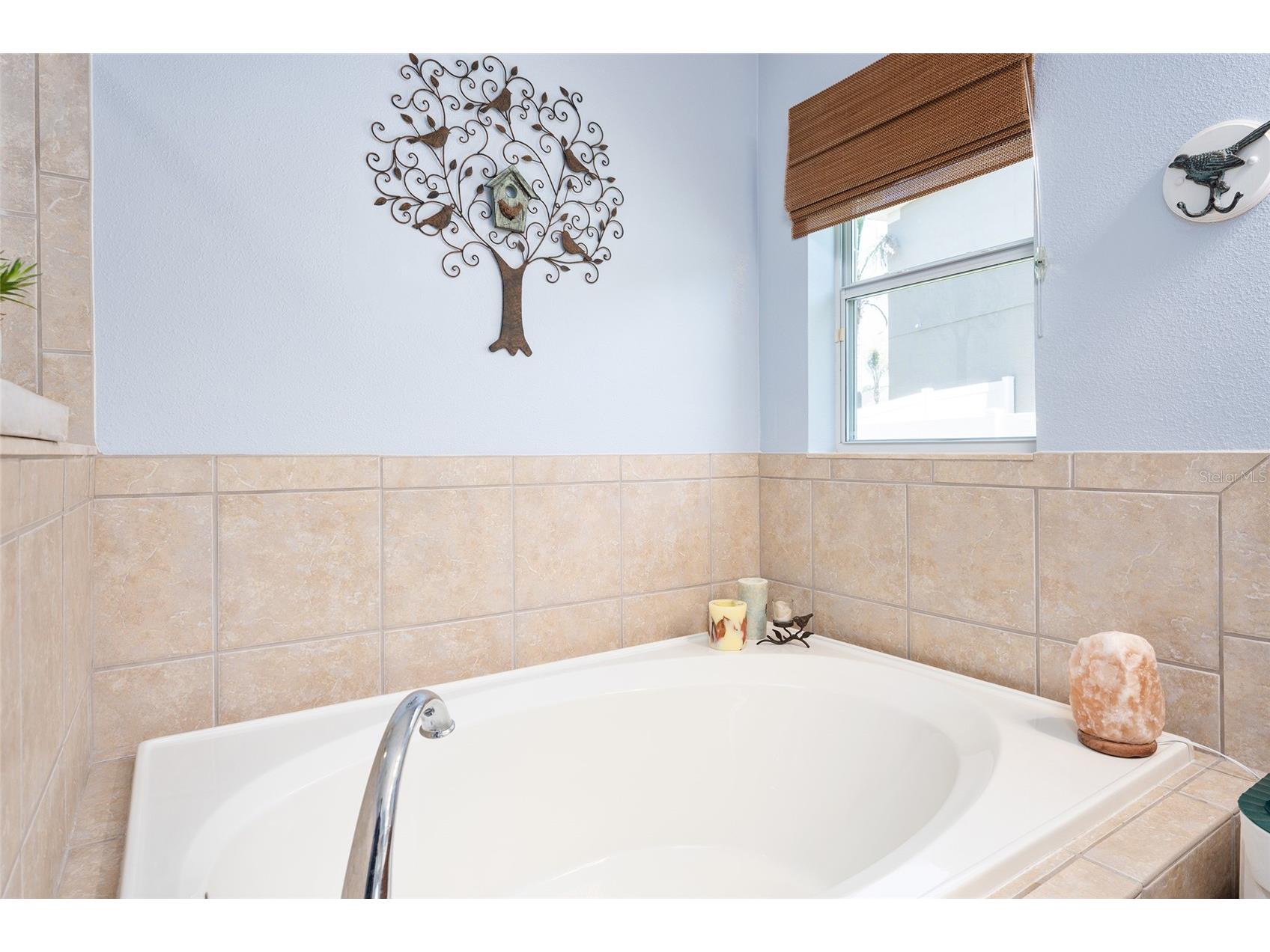 5814 Coquyt Drive Mount Dora FL 32757 G5110800 image42