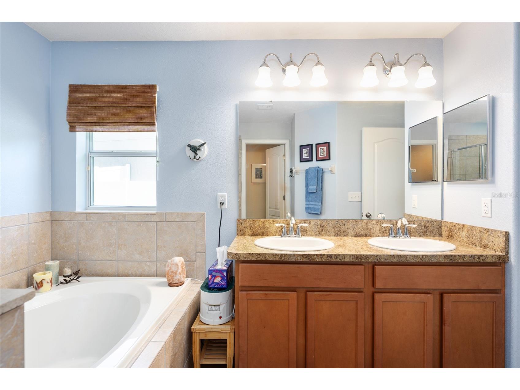 5814 Coquyt Drive Mount Dora FL 32757 G5110800 image43