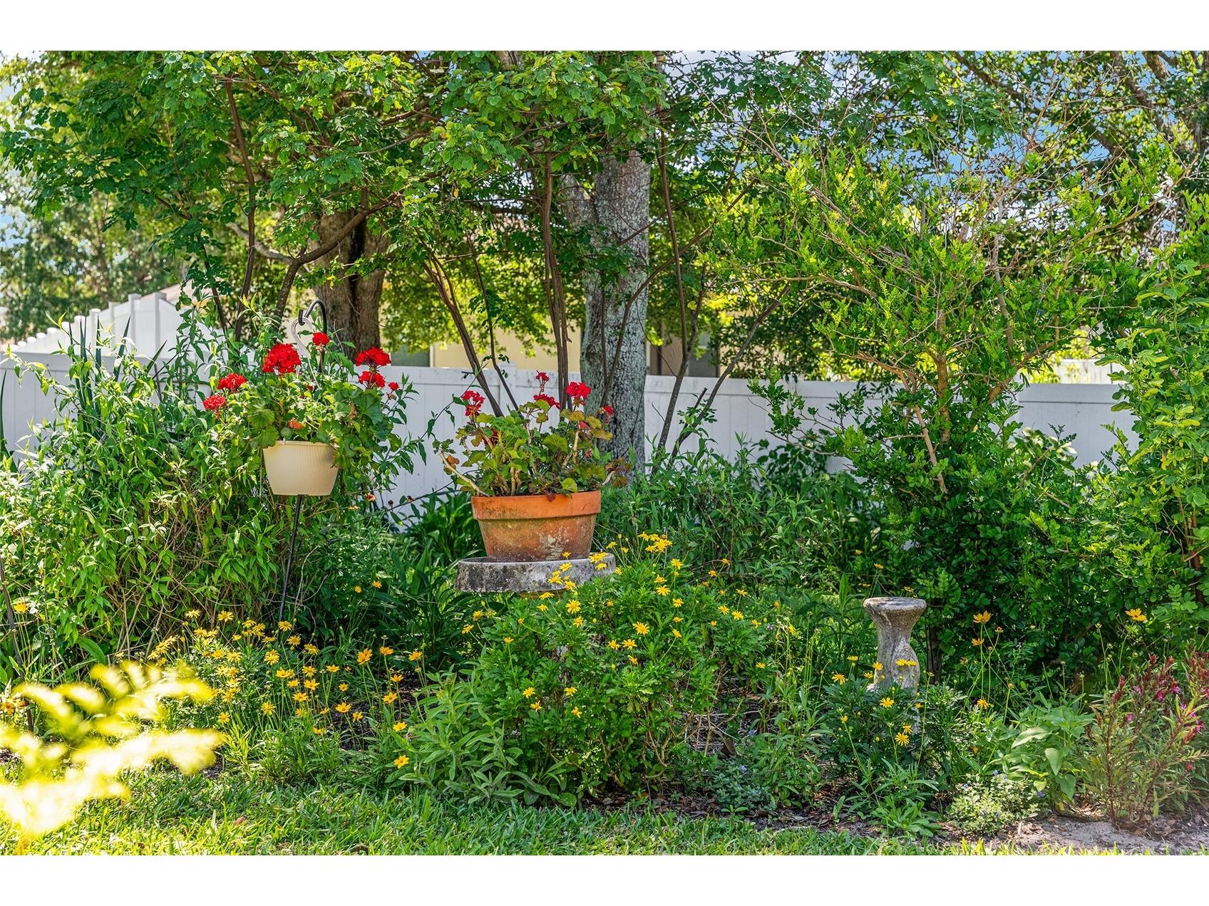 5814 Coquyt Drive Mount Dora FL 32757 G5110800 image63