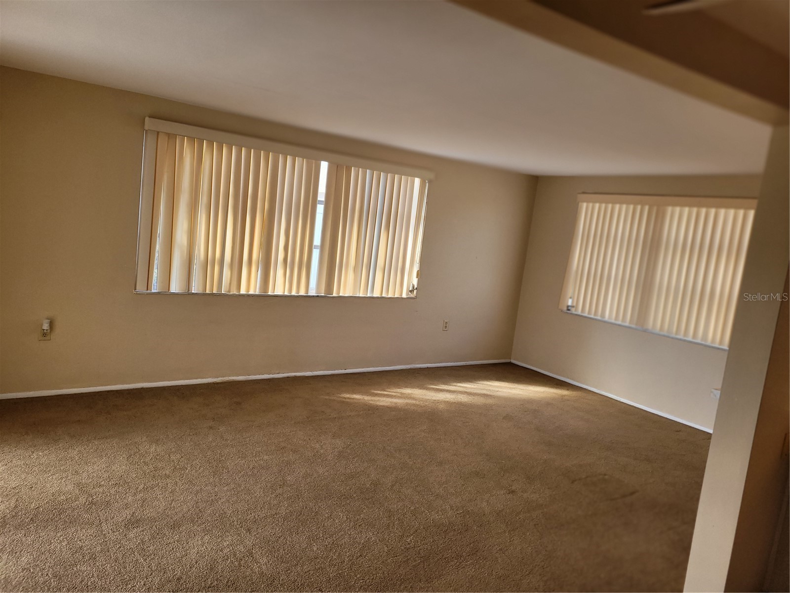 5814 Liddell Drive New Port Richey FL 34652 TB8481374 image9