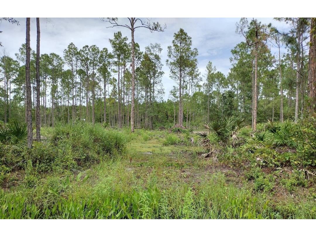 5814 Mahogany Boulevard Bunnell FL 32110 FC303710 image2