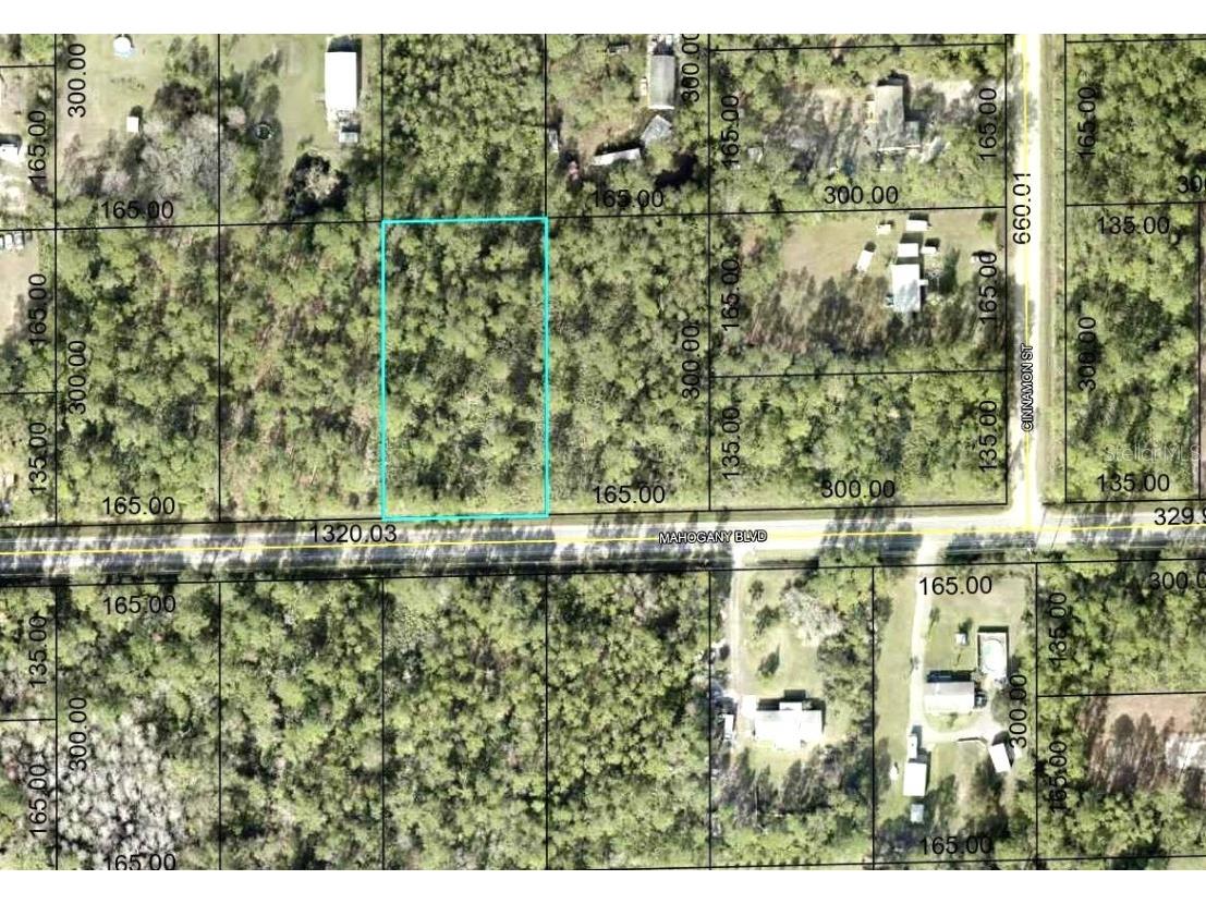 5814 Mahogany Boulevard Bunnell FL 32110 FC303710 image4