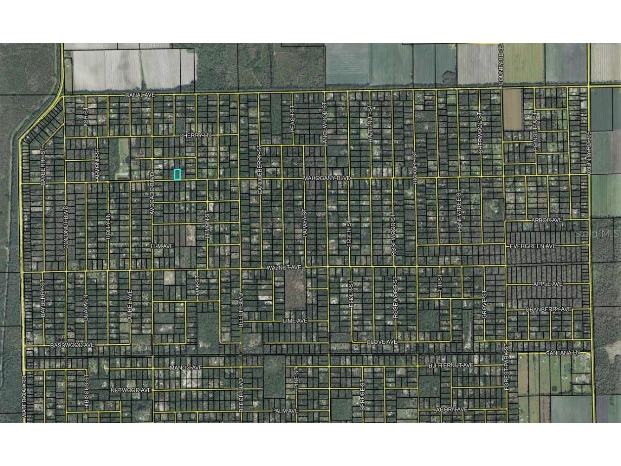 5814 Mahogany Boulevard Bunnell FL 32110 FC303710 image5