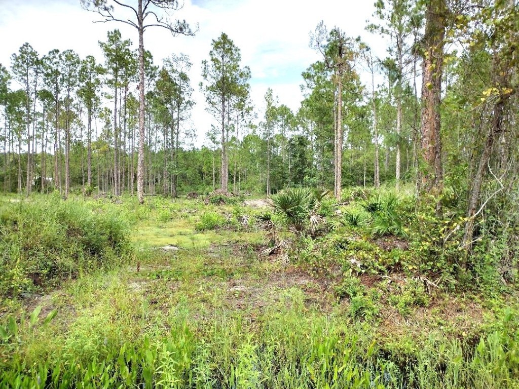 5814 Mahogany Boulevard Bunnell FL 32110 FC303710 image8