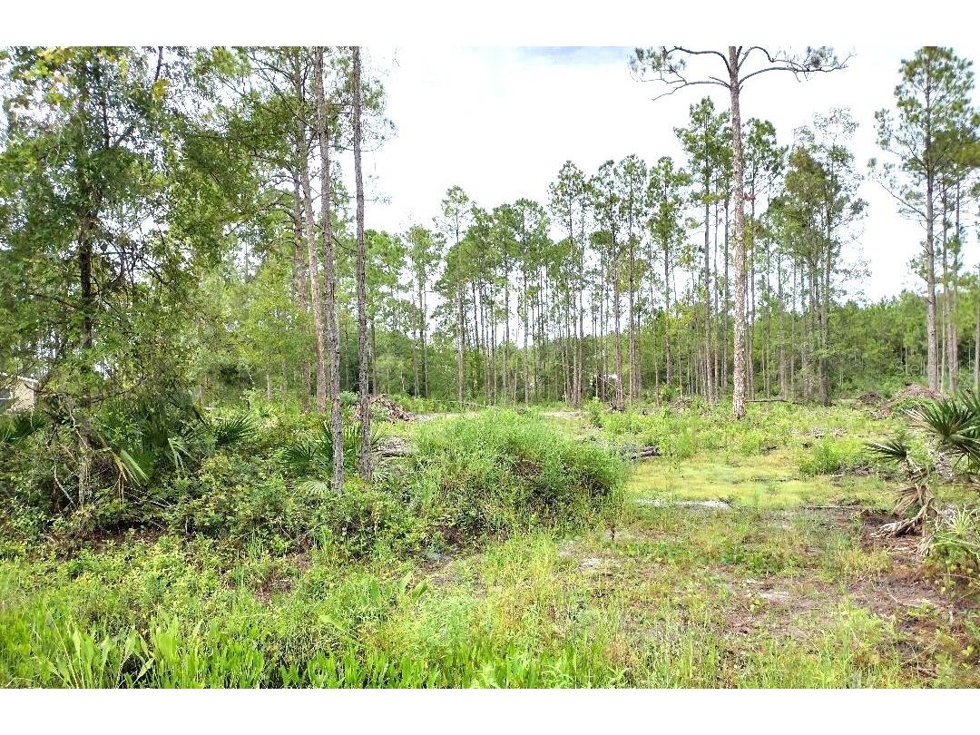 5814 Mahogany Boulevard Bunnell FL 32110 FC303710 image9