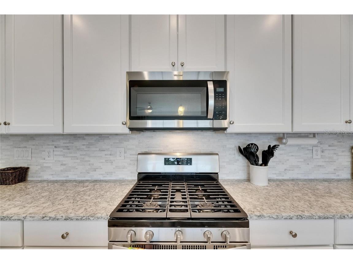 5814 Silver Sun Drive Apollo Beach FL 33572 TB8379382 image40