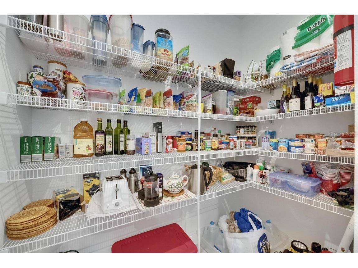 5814 Silver Sun Drive Apollo Beach FL 33572 TB8379382 image41