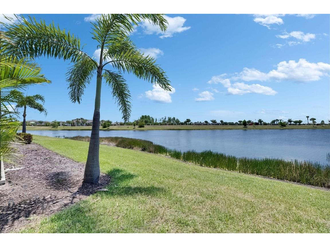 5814 Silver Sun Drive Apollo Beach FL 33572 TB8379382 image74