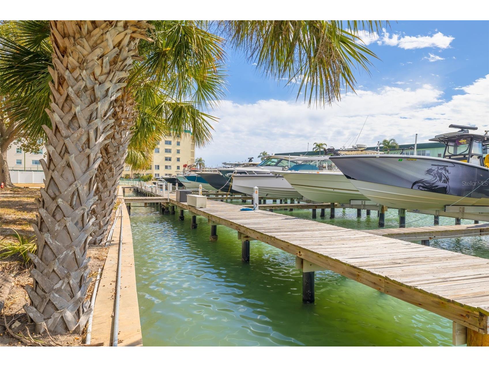 5814 Skimmer Point Boulevard S Gulfport FL 33707 TB8476178 image5