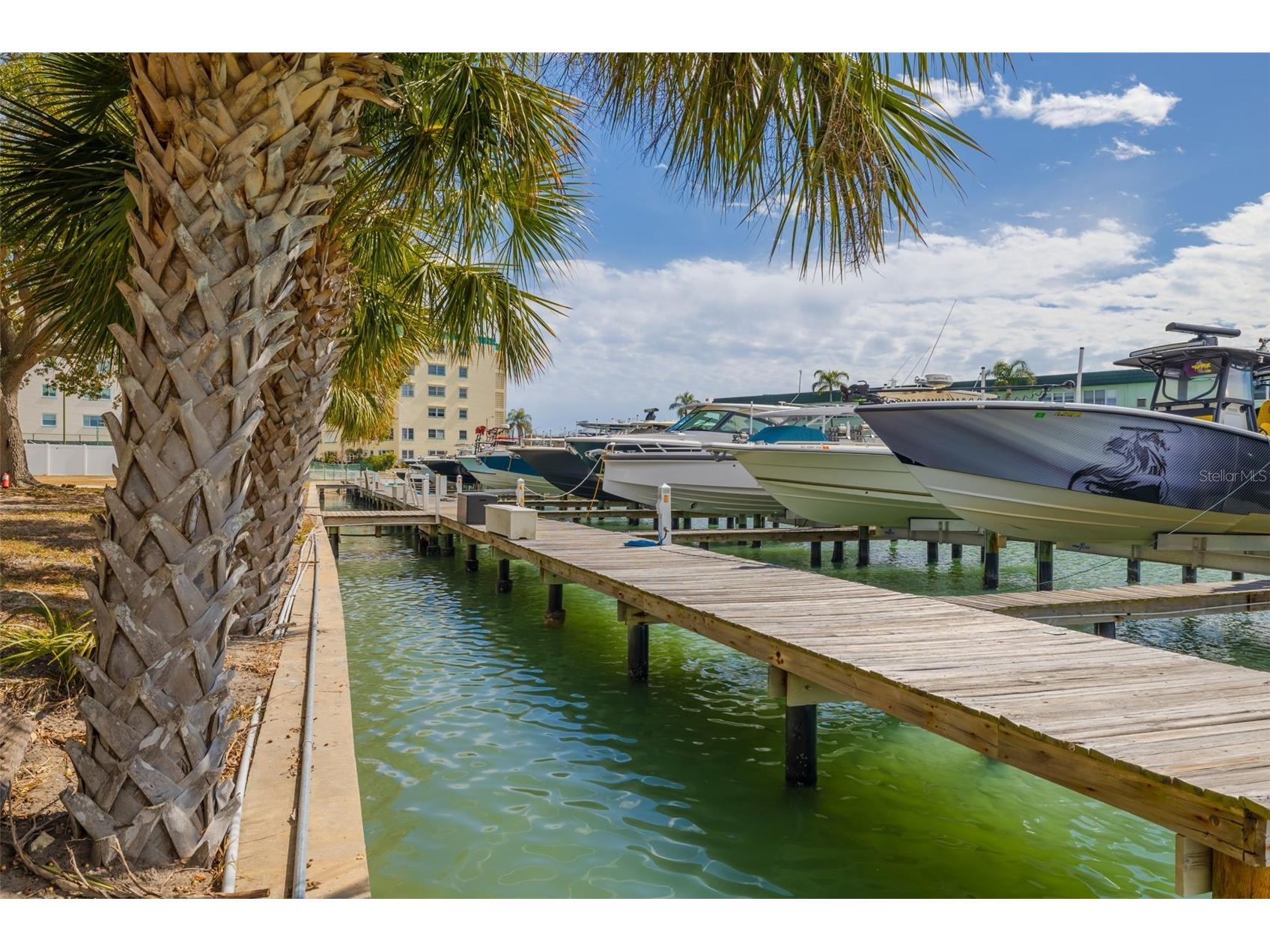 5814 Skimmer Point Boulevard S Gulfport FL 33707 TB8476178 image7