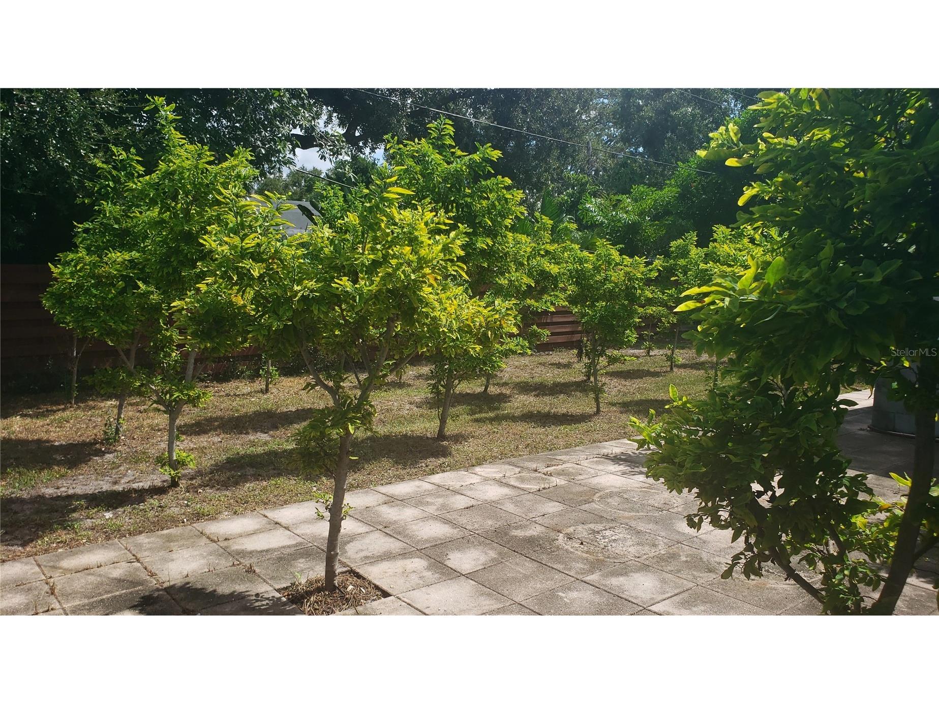 5815 24th Street W Bradenton FL 34207 A4690763 image8
