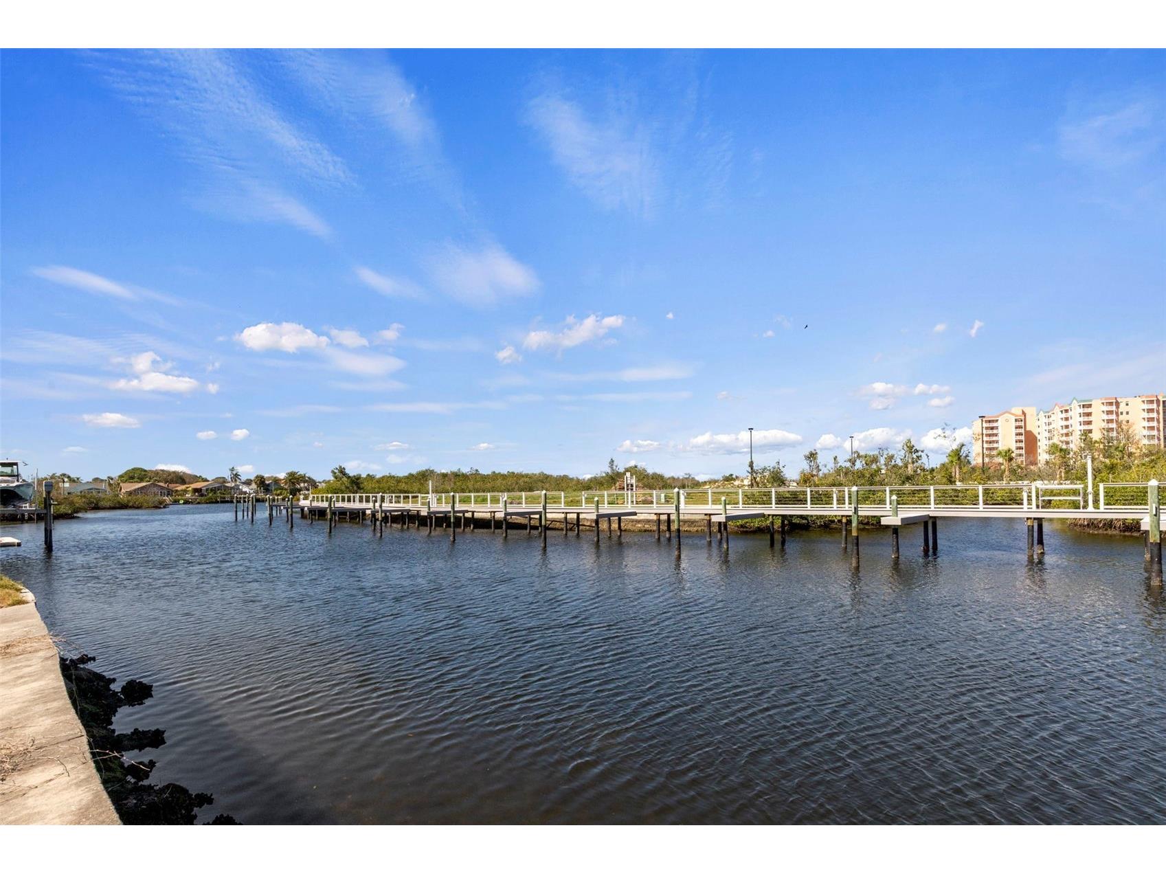 5815 Elisabethan Lane New Port Richey FL 34652 W7882518 image35