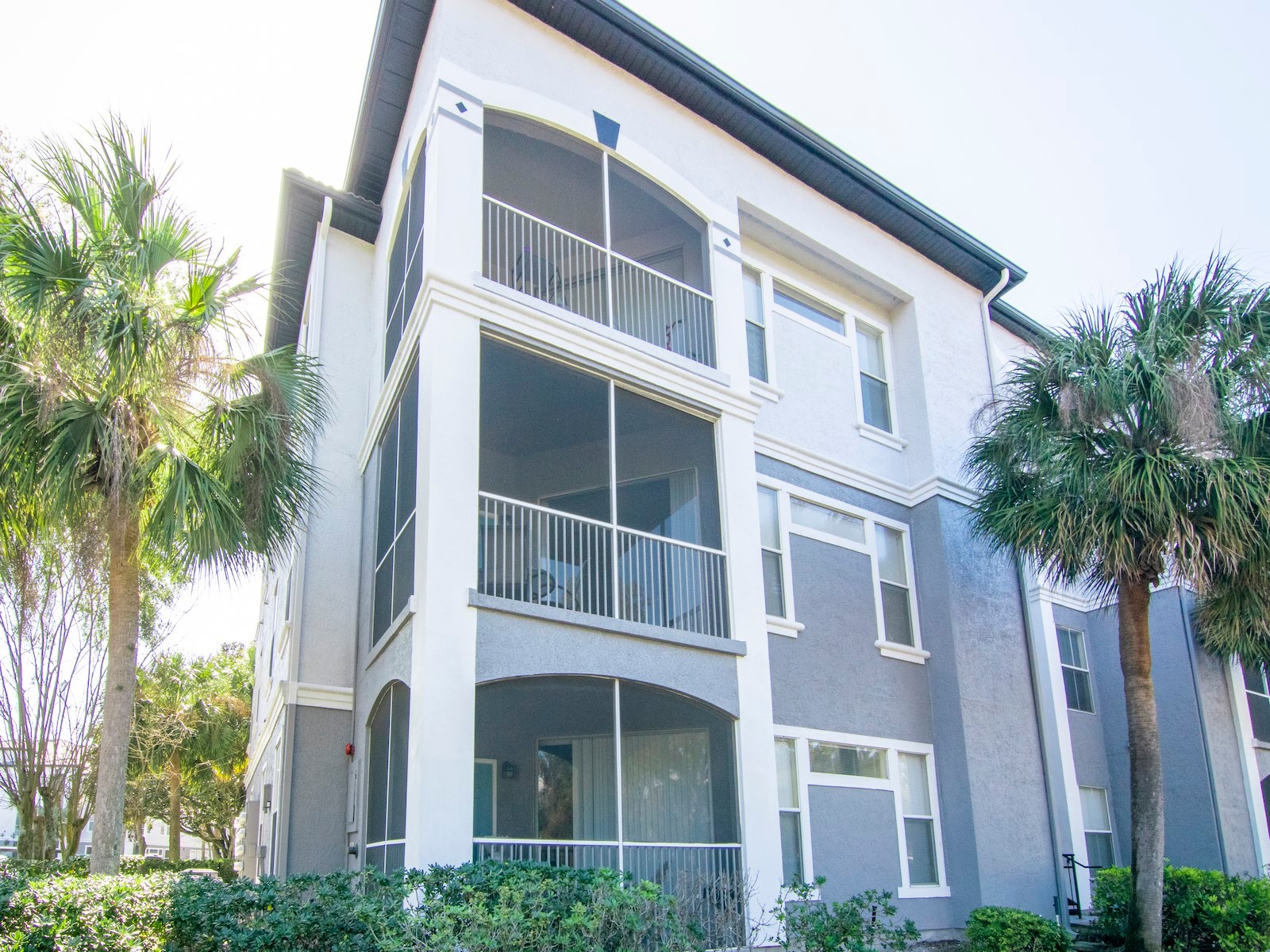 5815 Legacy Crescent Place #202 Riverview FL 33578 TB8511513 image1