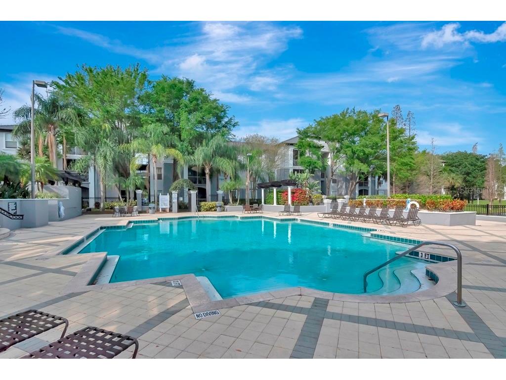 5815 Legacy Crescent Place #202 Riverview FL 33578 TB8511513 image28