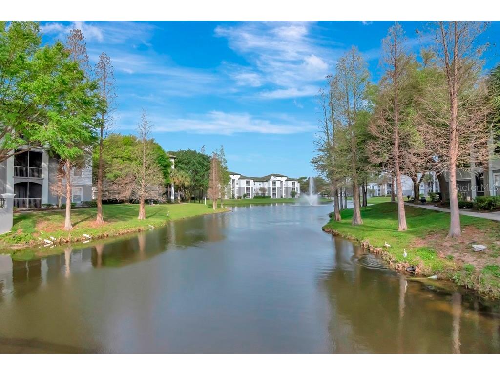 5815 Legacy Crescent Place #202 Riverview FL 33578 TB8511513 image31