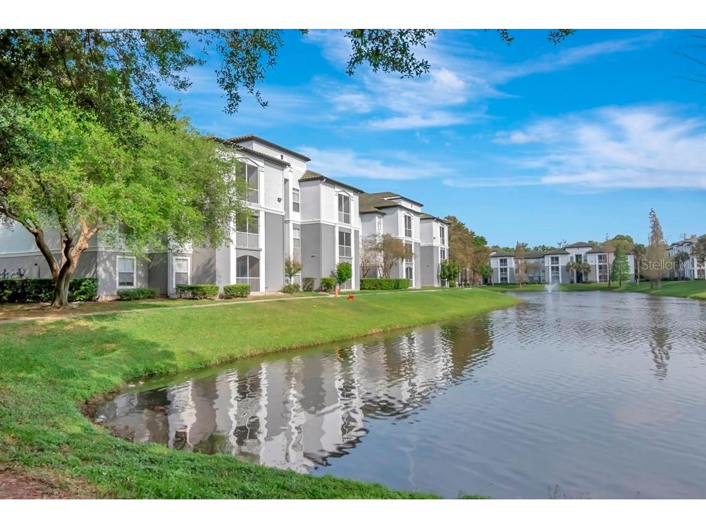 5815 Legacy Crescent Place #202 Riverview FL 33578 TB8511513 image36