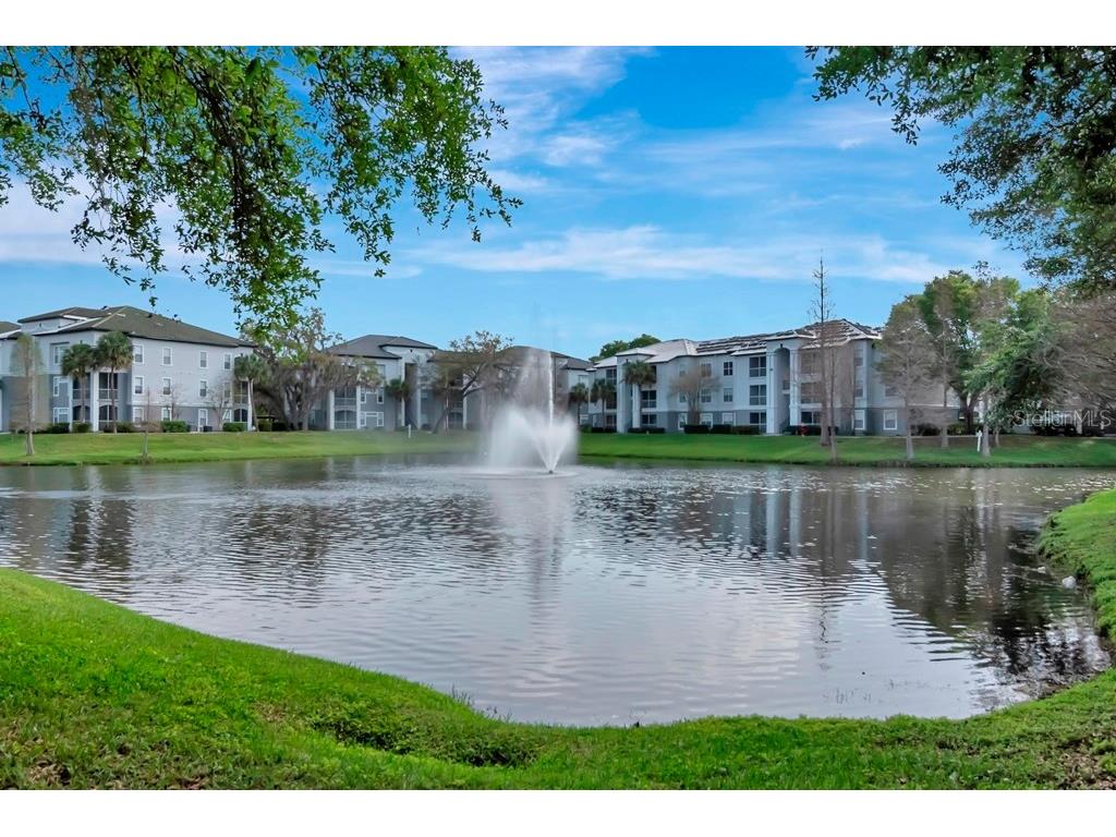 5815 Legacy Crescent Place #202 Riverview FL 33578 TB8511513 image37