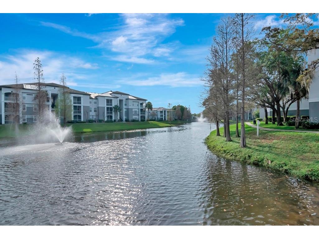 5815 Legacy Crescent Place #202 Riverview FL 33578 TB8511513 image43
