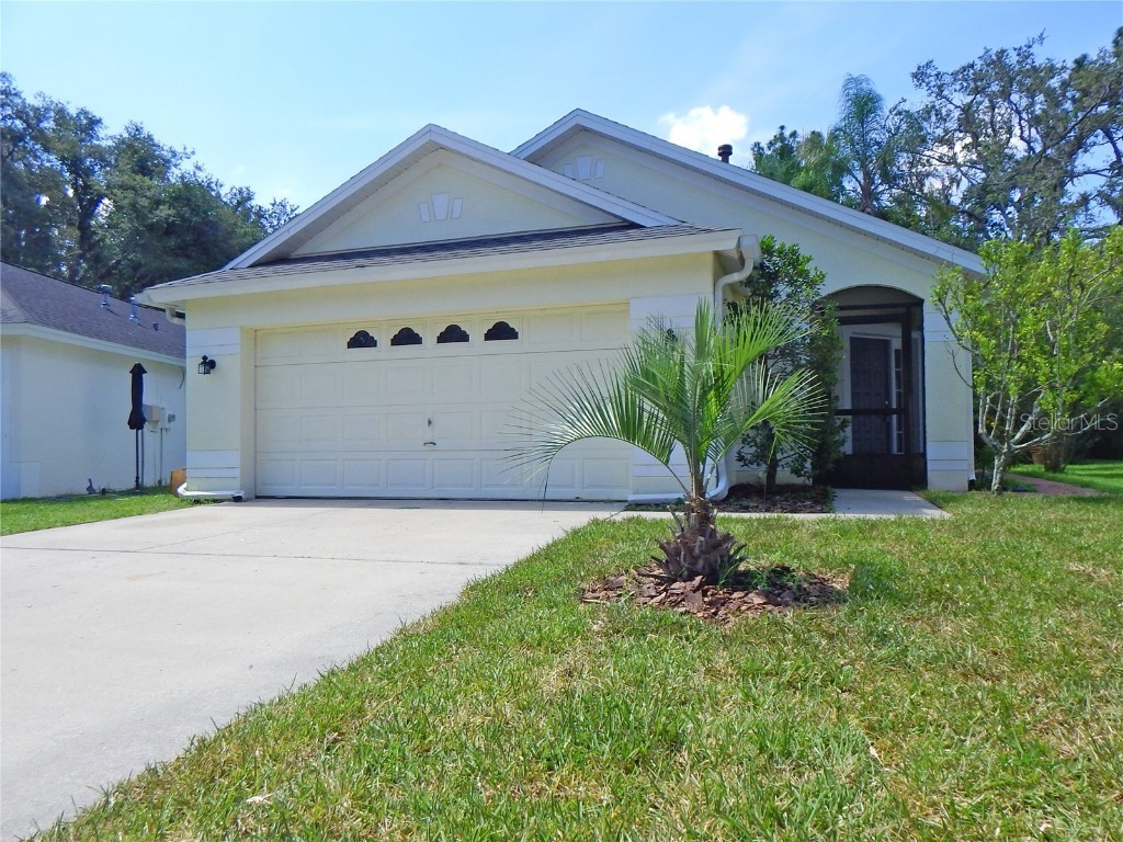 5815 Meadowpark Place Lithia FL 33547 T3448525 image1