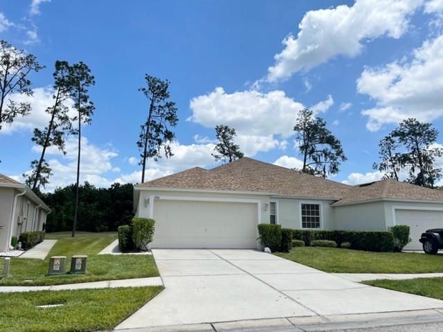 5816 Autumn Shire Drive Zephyrhills FL 33541 T3531922 image1