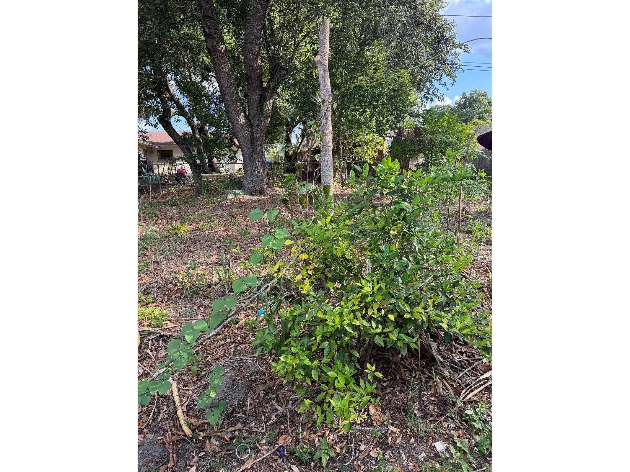 5816 Viking Road Orlando FL 32808 O6421051 image12