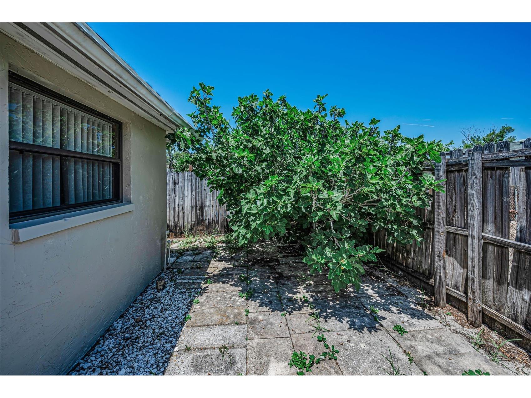 5817 10th Avenue New Port Richey FL 34652 W7886852 image36