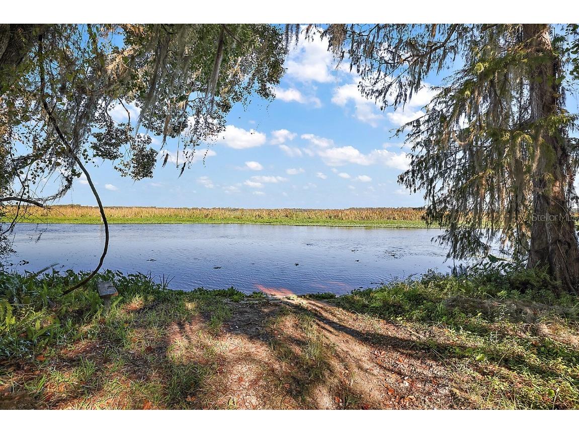 5817 W Riverbend Road Dunnellon FL 34433 - WITHLACOOCHEERIVER/LAKE ROUSSE OM648411 image1